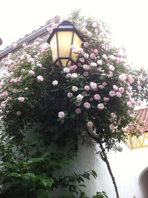 Patio Das Flores Ferreira Do Alentejo Esterno foto