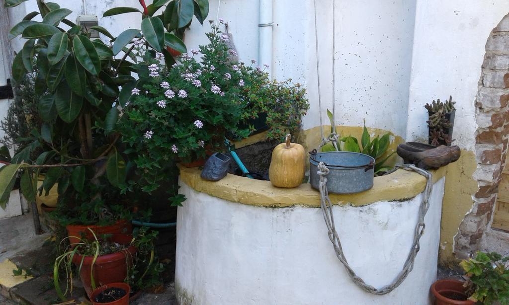 Patio Das Flores Ferreira Do Alentejo Esterno foto